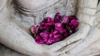 Mains de bouddha avec fleurs