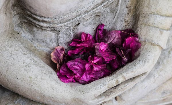 Mains de bouddha avec fleurs