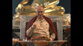 Enseignement-video webcast Denys-Rinpoche La saisie