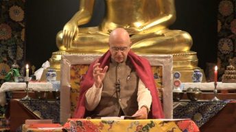 Enseignement-video webcast Denys-Rinpoche Les 5 preceptes