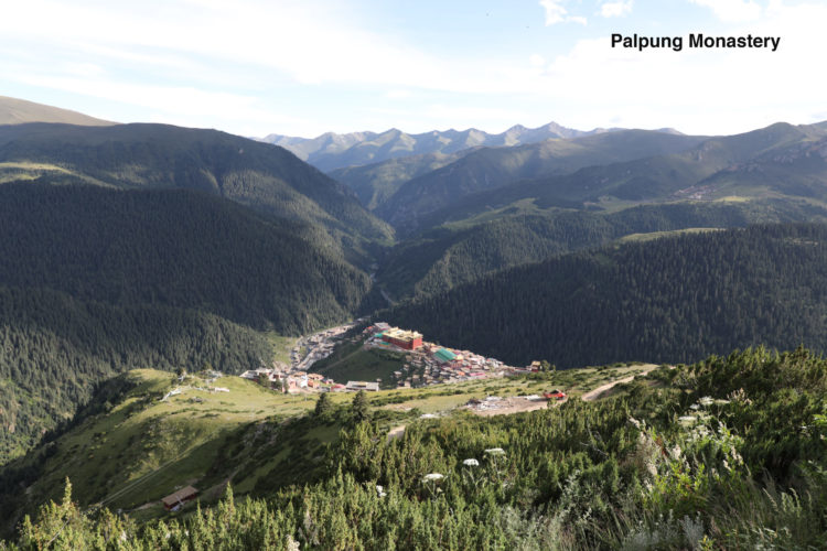 Palpung Monastery (2)